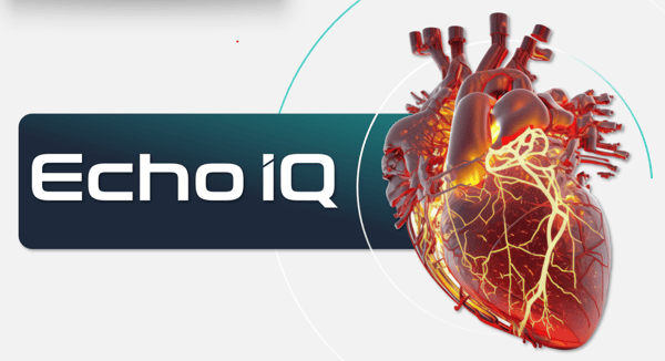 Echo_IQ_Q3_Showcase_Image