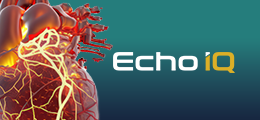 Echo_IQ_Q4_Image