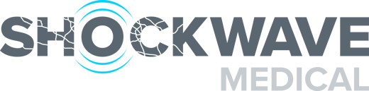 Shockwave_Q4_Image