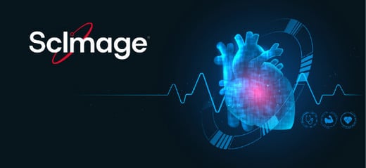 scimage.Q3_2025-1